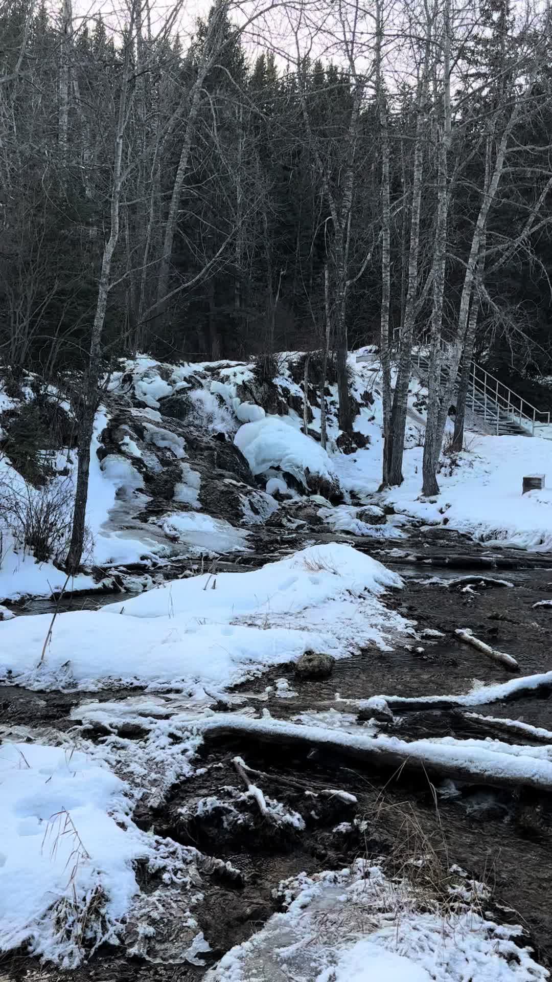 @pramodnegi06🇨🇦