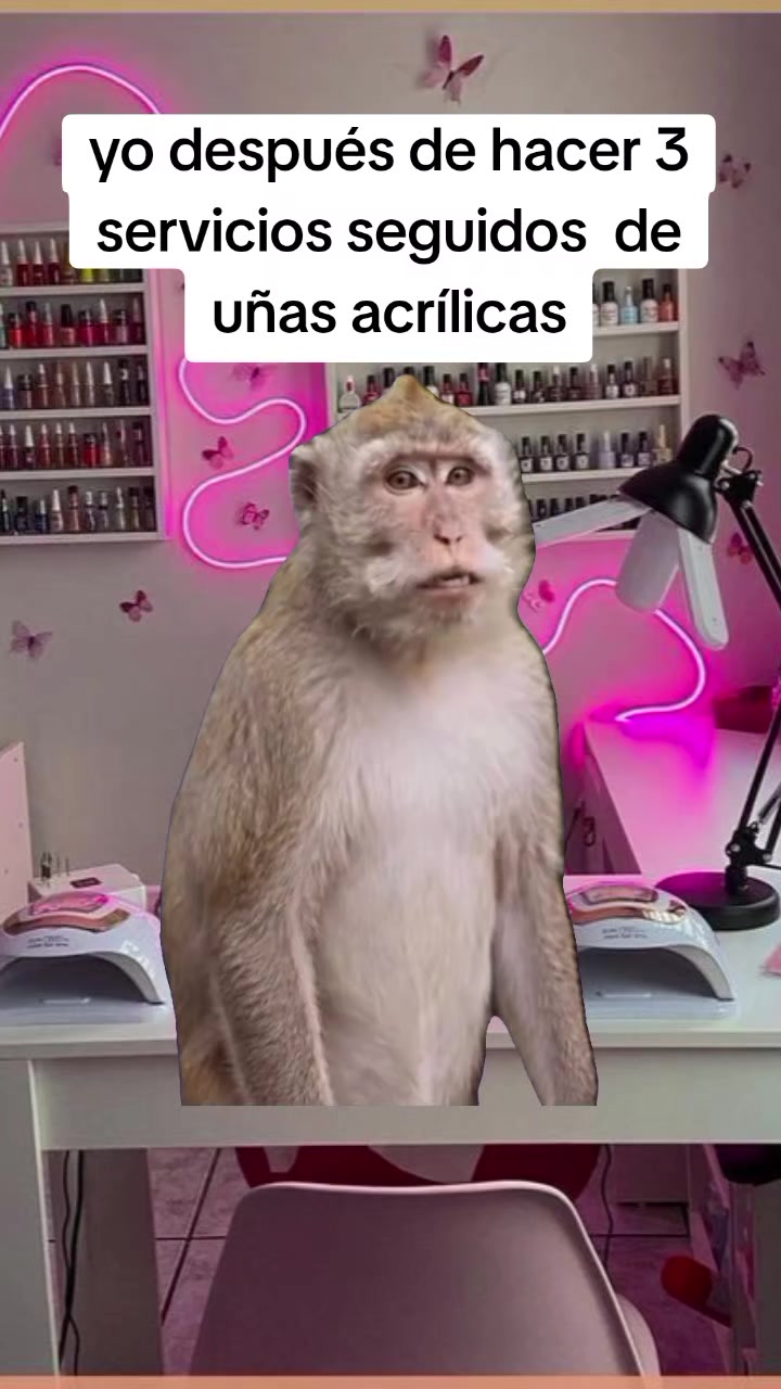 @Karol 💅🏼