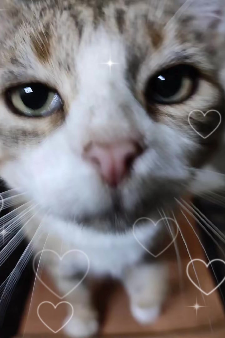 @@lunaeig