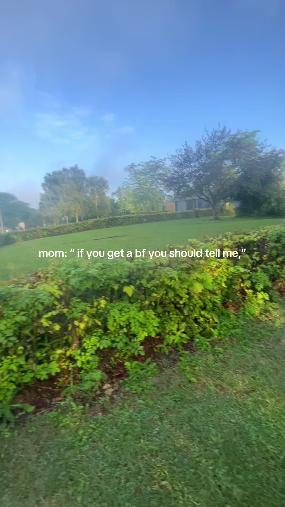 @⋆ ˚。⋆୨lyra୧⋆ ˚。⋆||bruised_soup