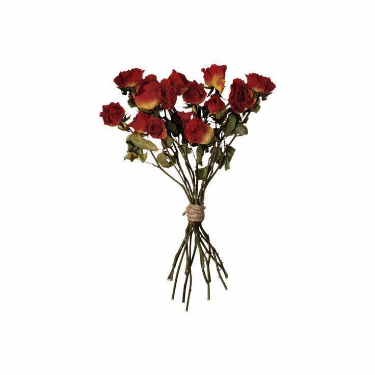 @𝓉om ୨ৎ ⠀⠀