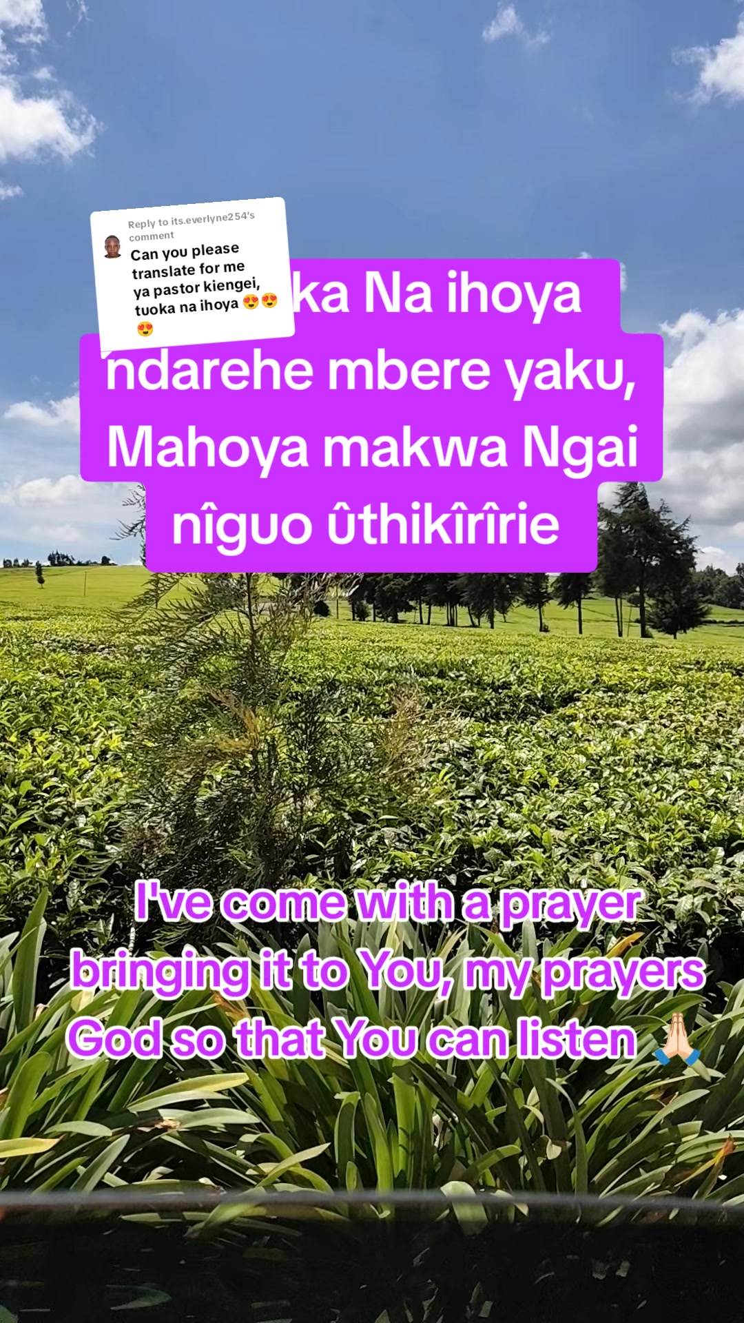 @Shiro Wa Kiarie