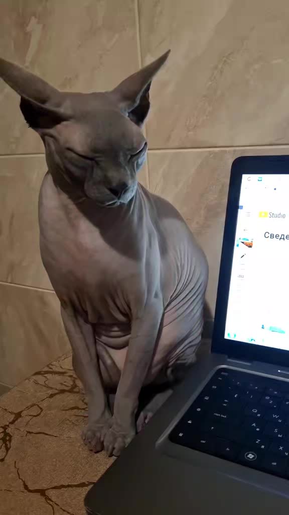 @Прогулки по Харькову