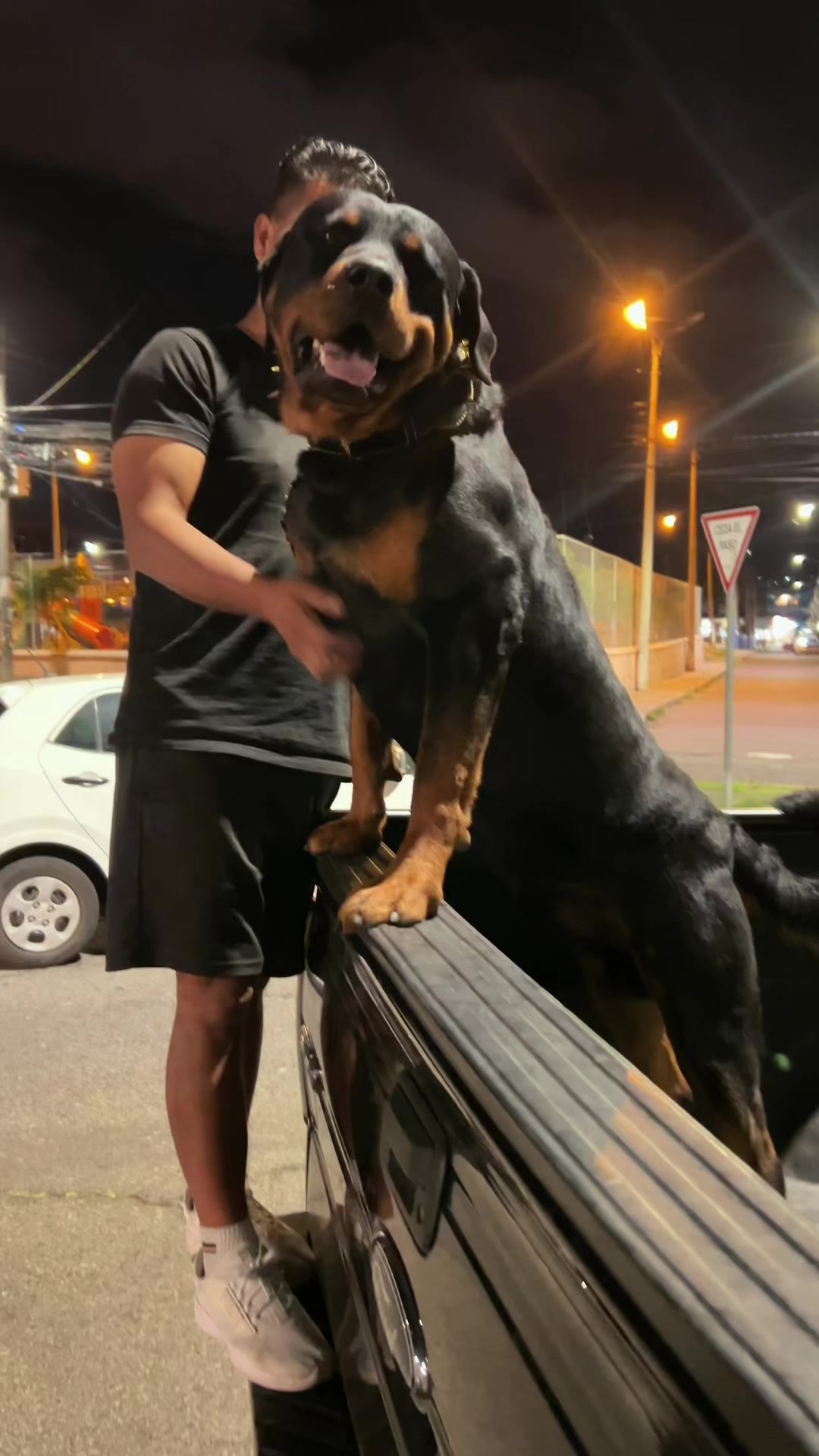 @I love DOGS