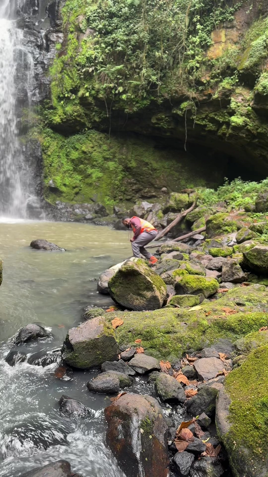 @HikinG_GiantS