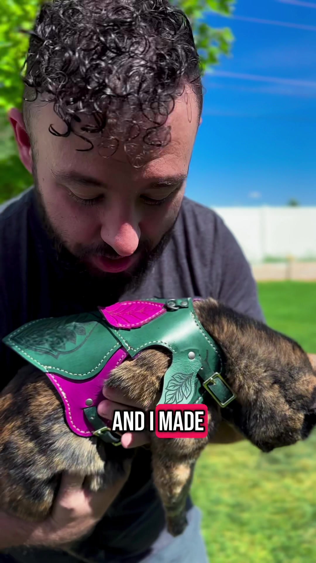 @Pet Armor | Arcane Armory