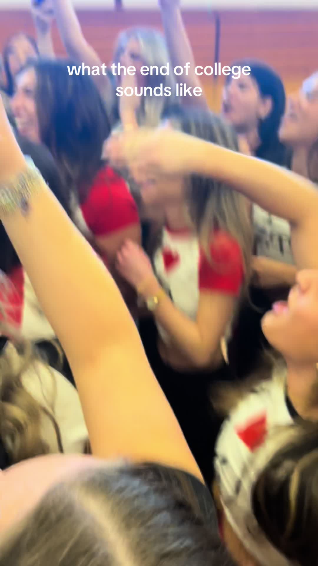 @allietaormina