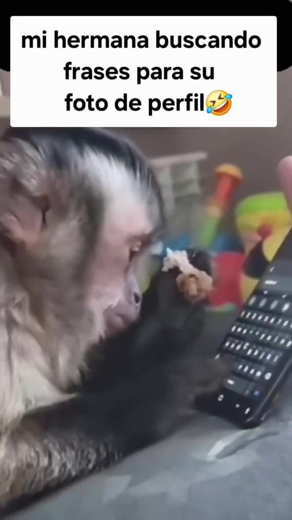 @Videos virales H R