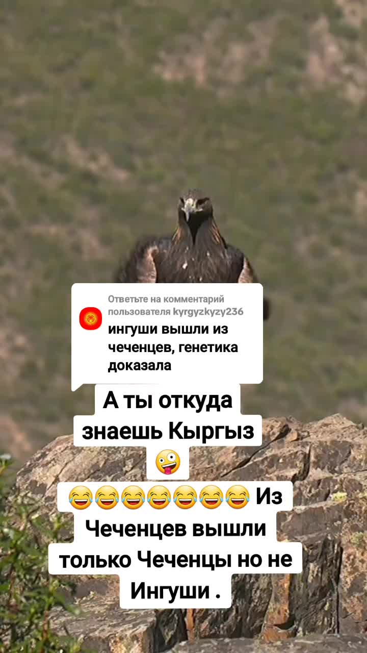 @Welcome to Ingushetia