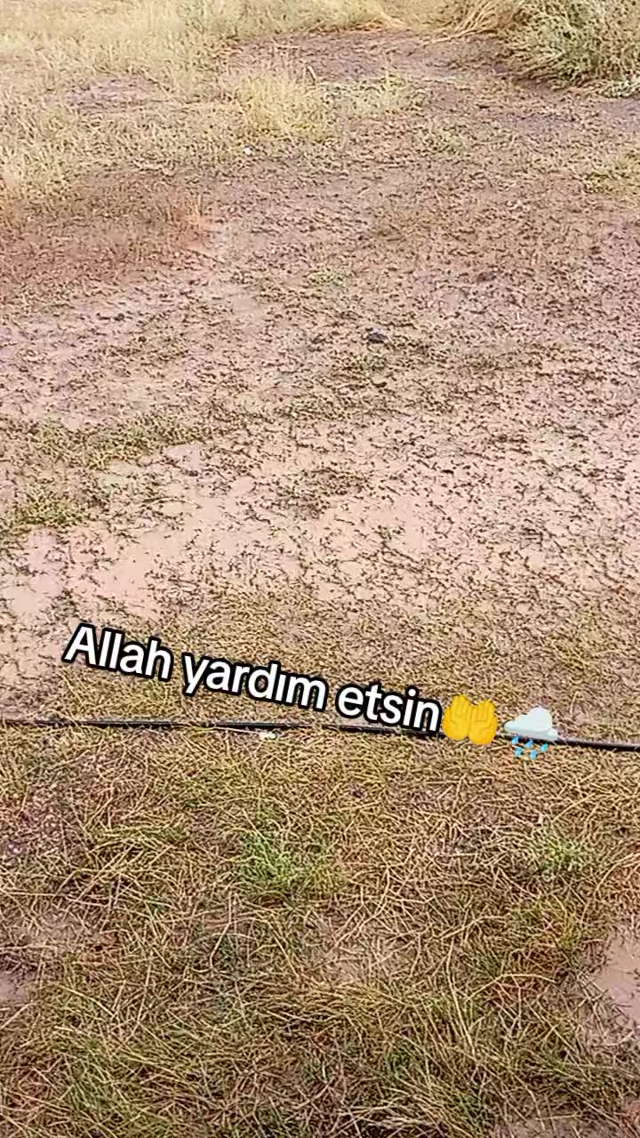 @bazidli adem04
