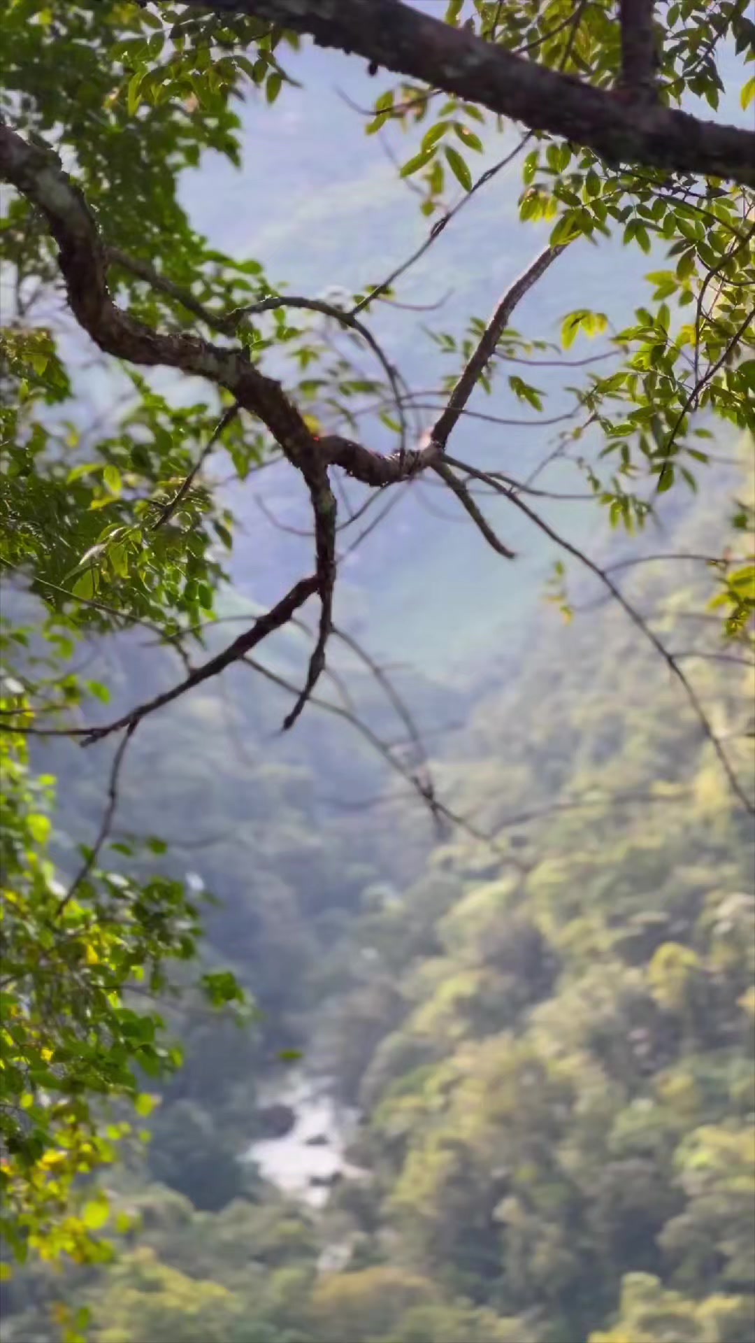@Balam Expeditions