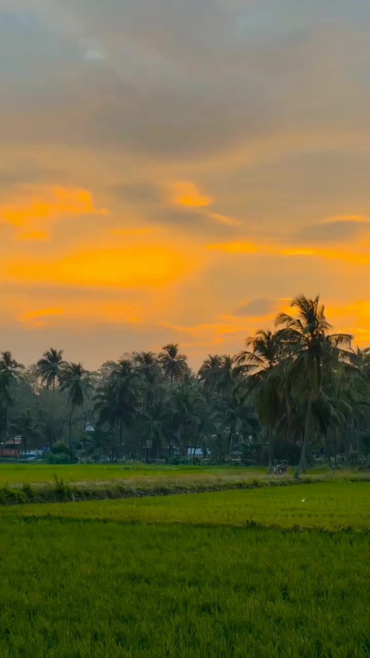 @Thahir Thalu