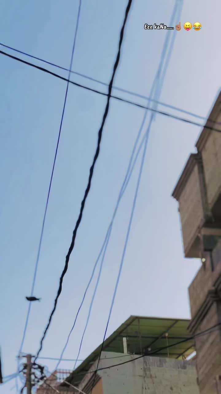 @𝐃𝐚𝐃𝐚_𝐁𝐫𝐚𝐧𝐃🥱⚠️✈️