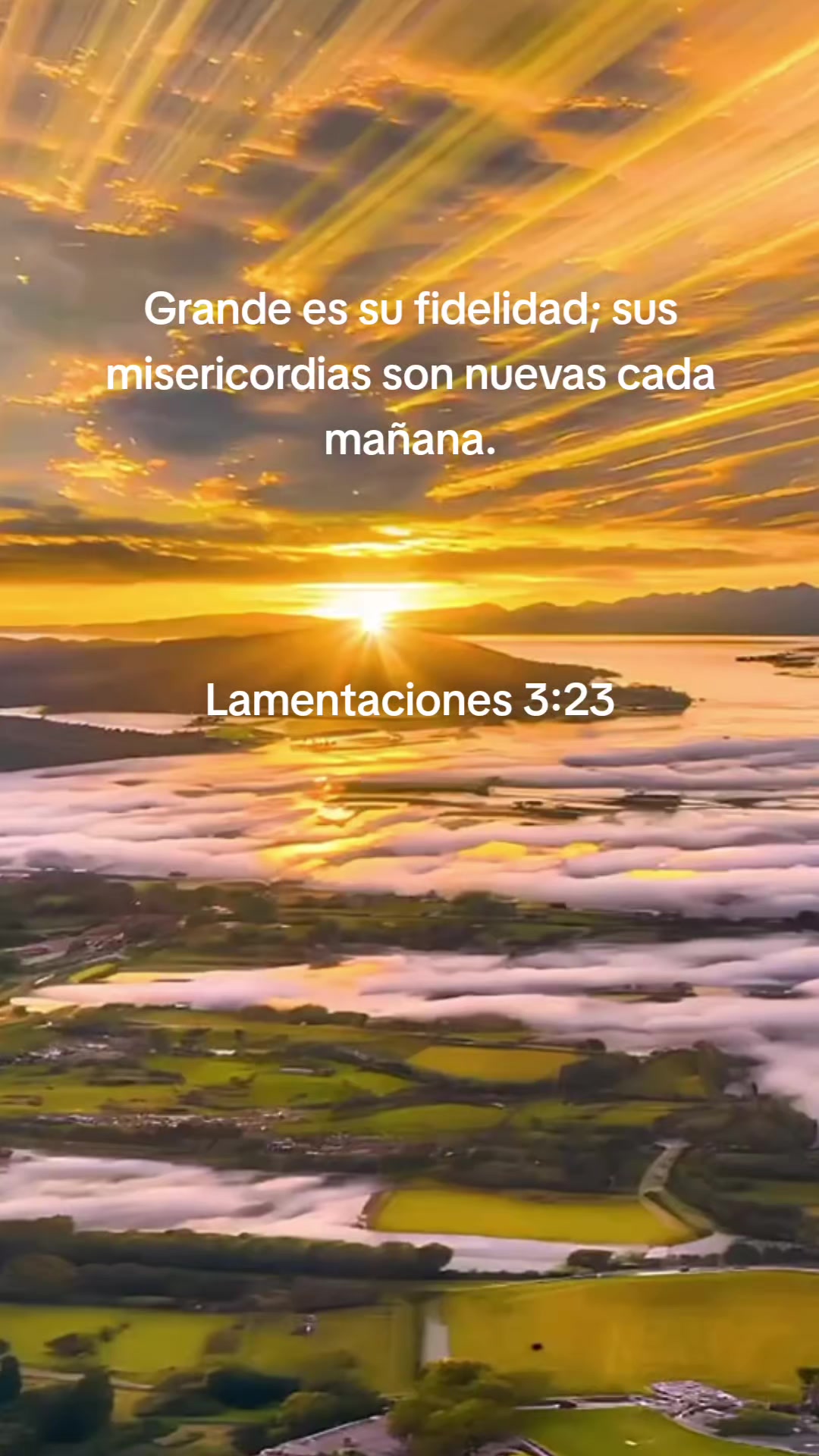 @Elfego Lopez