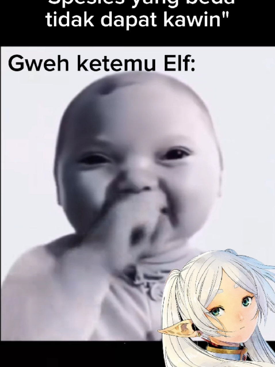 @Senku Sensei