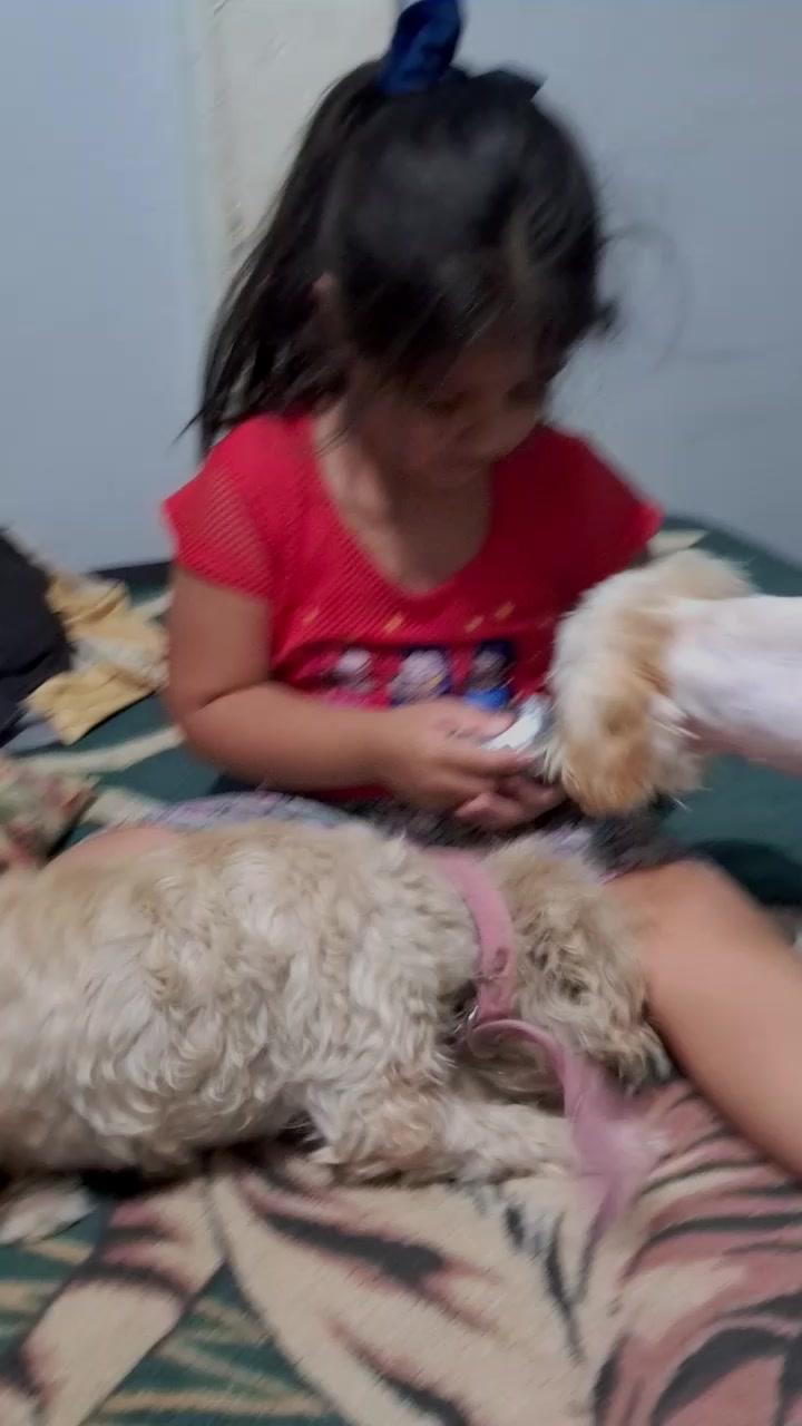 @RocioPaz07