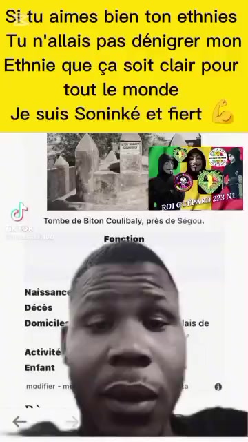 @ROI GUÉPARD N°1 223 🇲🇱