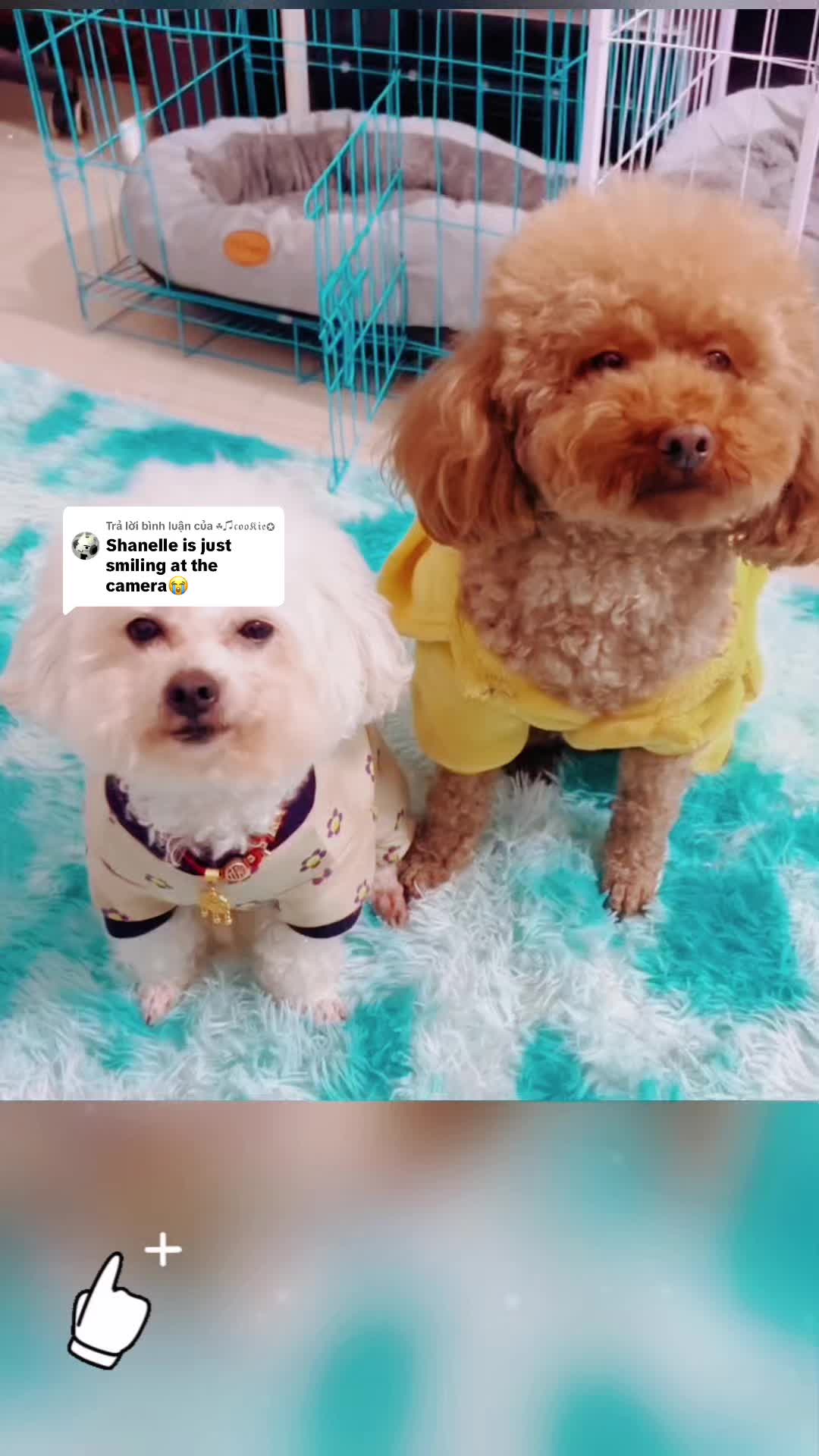 @Đức Anh bạn Của Minh nè hii