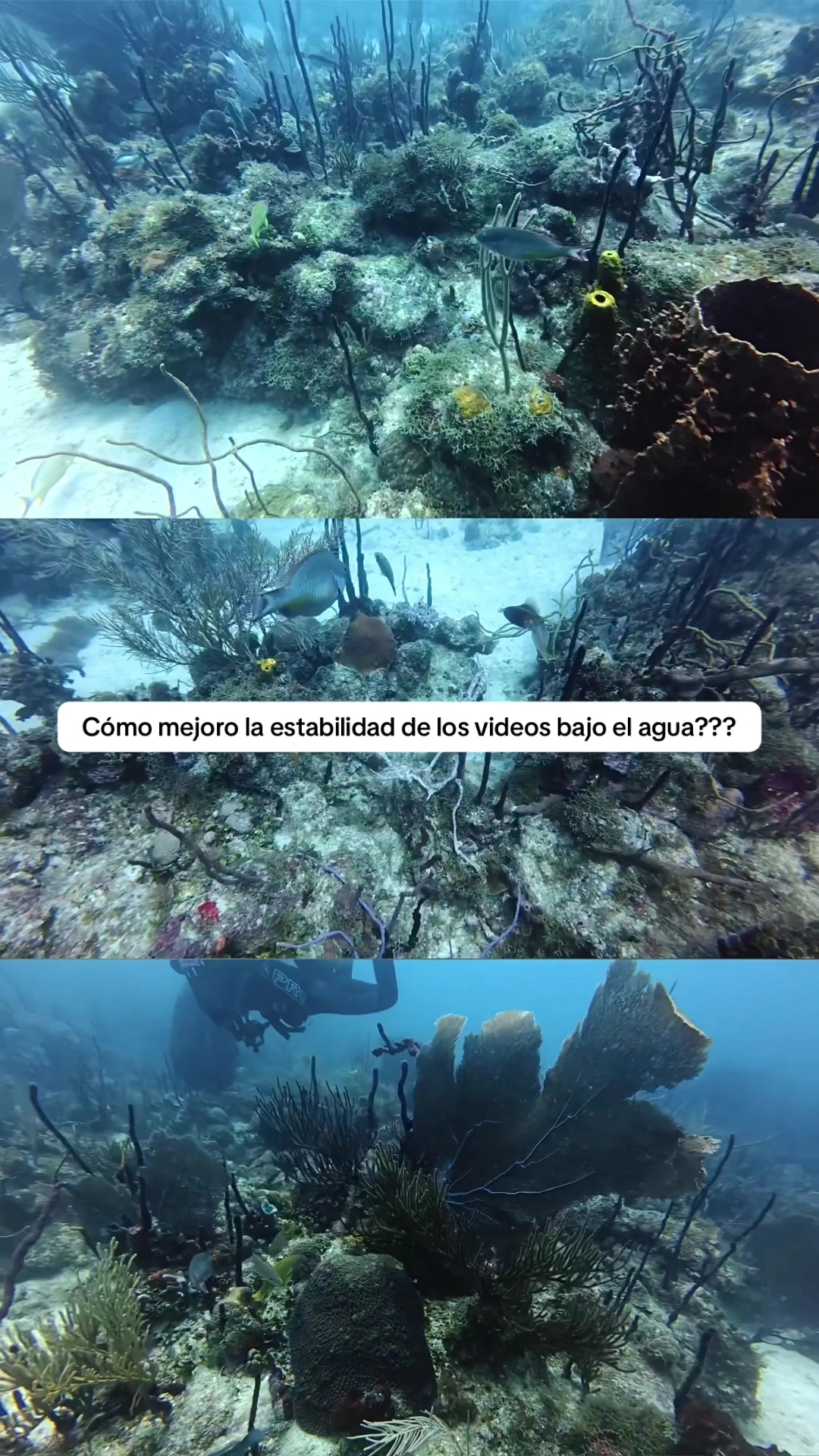 @Pilo | comoyoveoelmundo