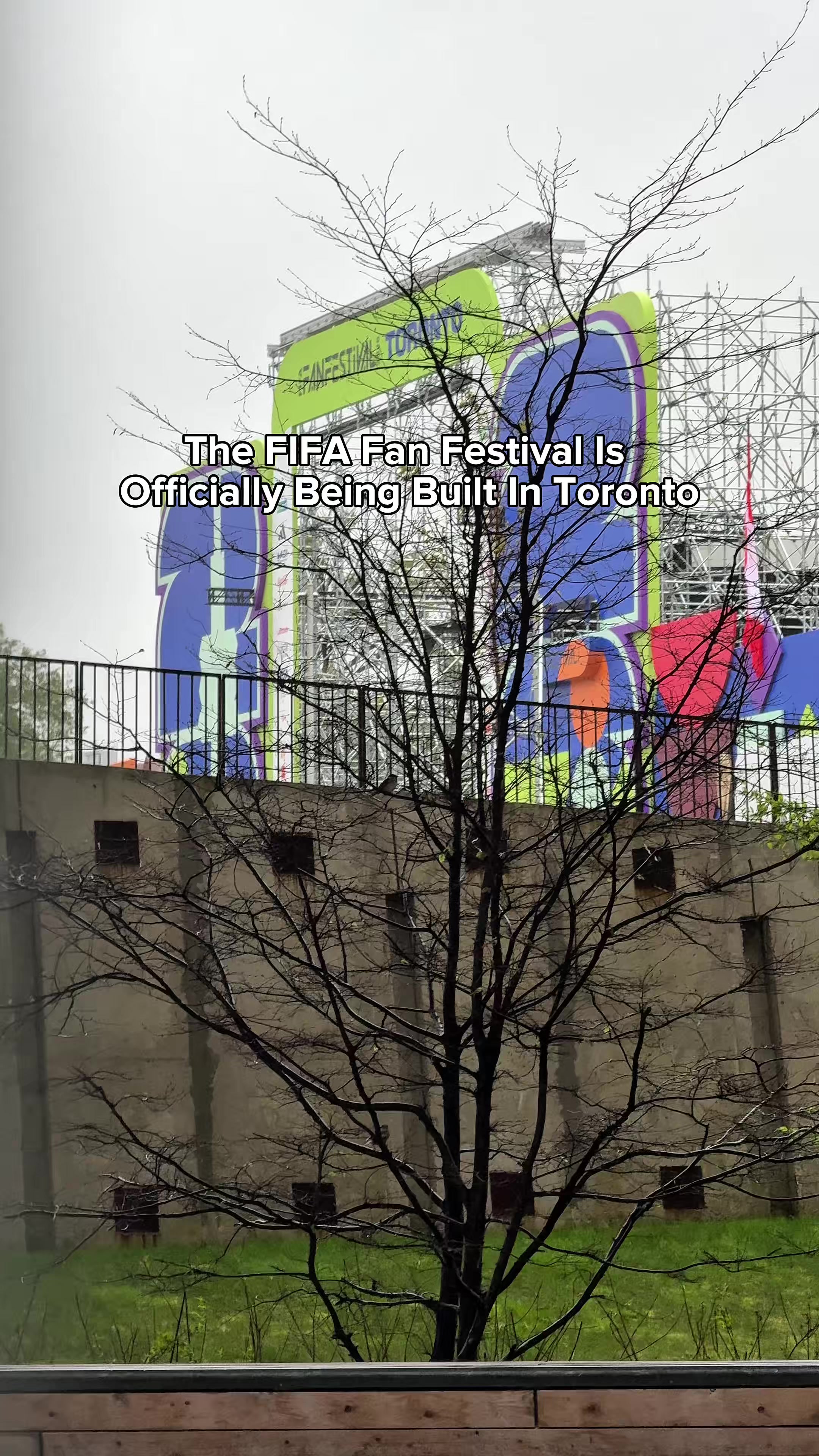 @TodoToronto