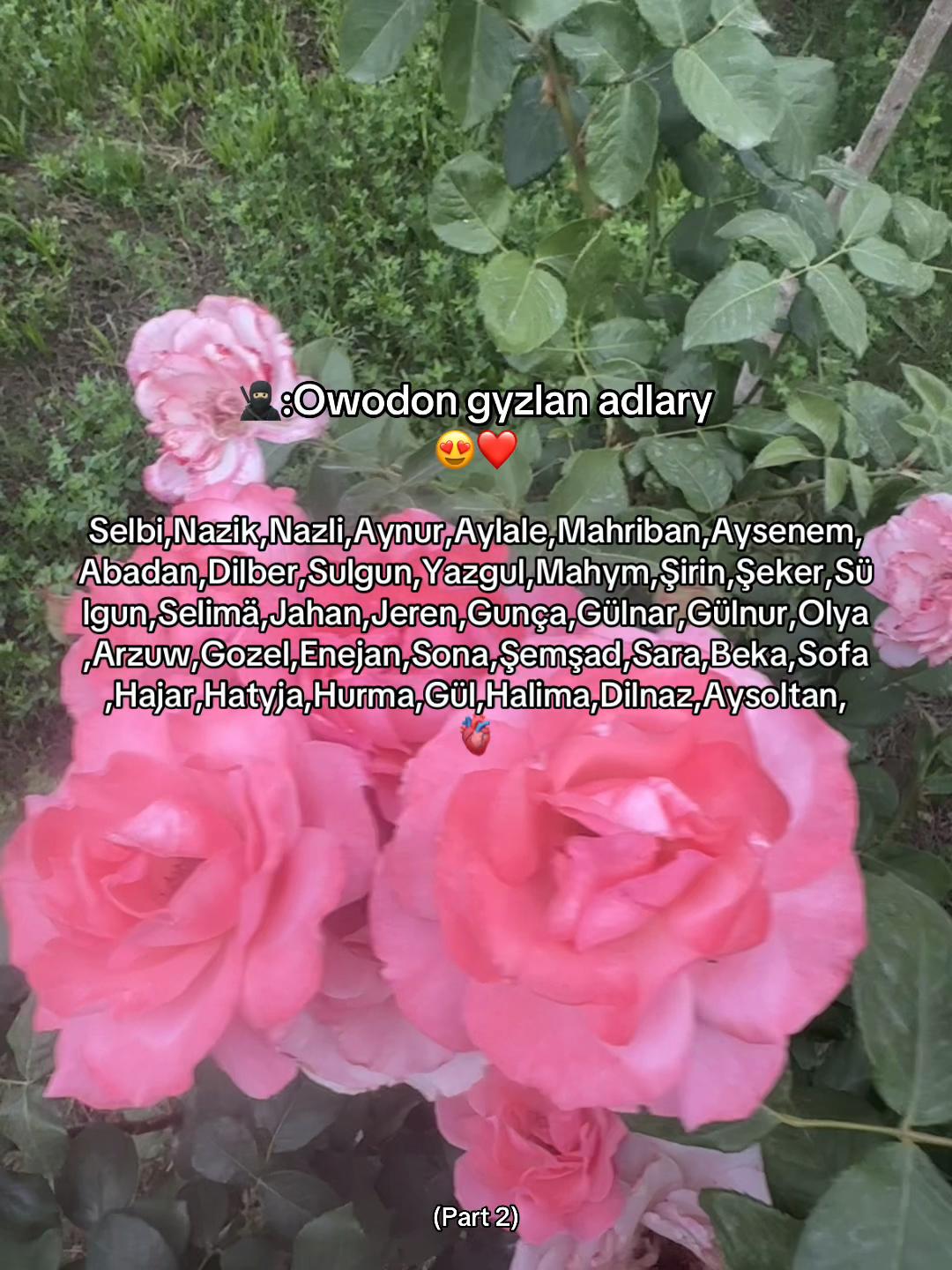 @Daniyar_