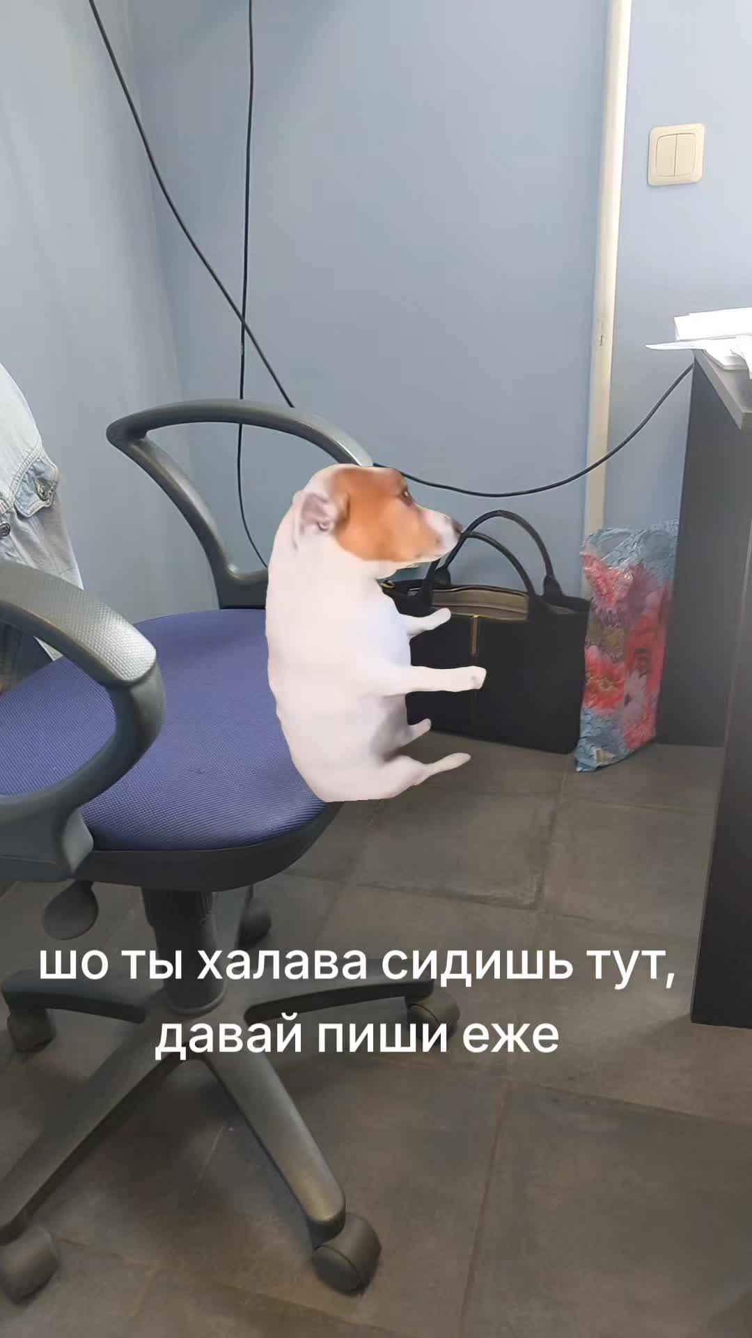 @790rus!