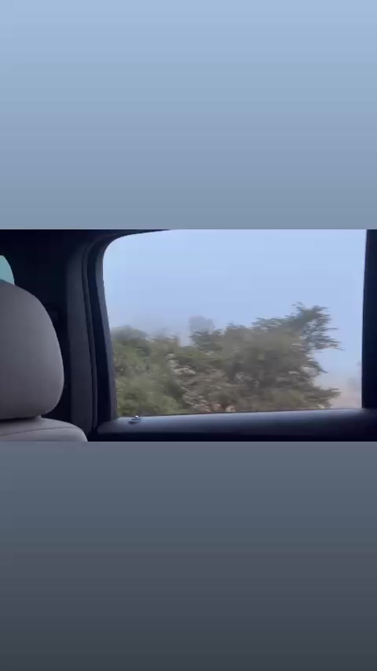 @المحامية الموثقة: نوف الشهراني