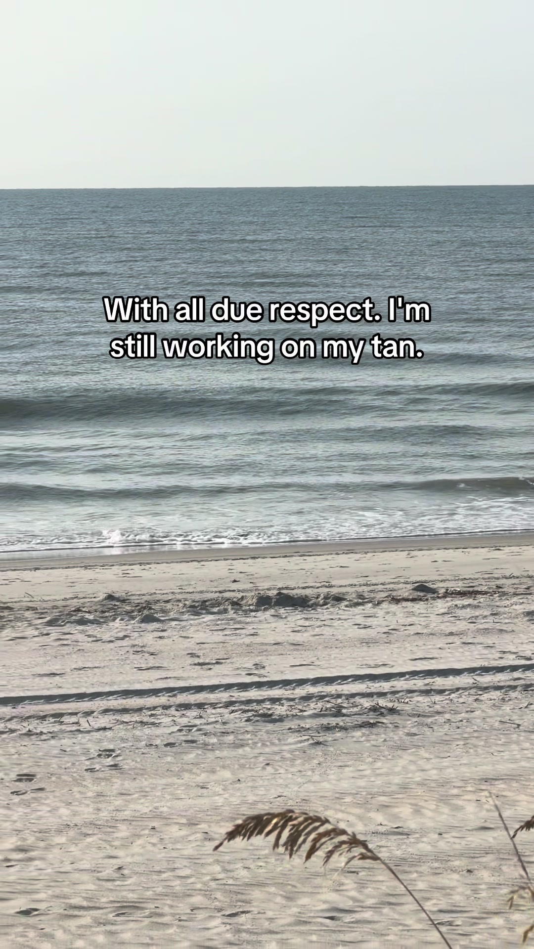 @Debra Merritt Hege