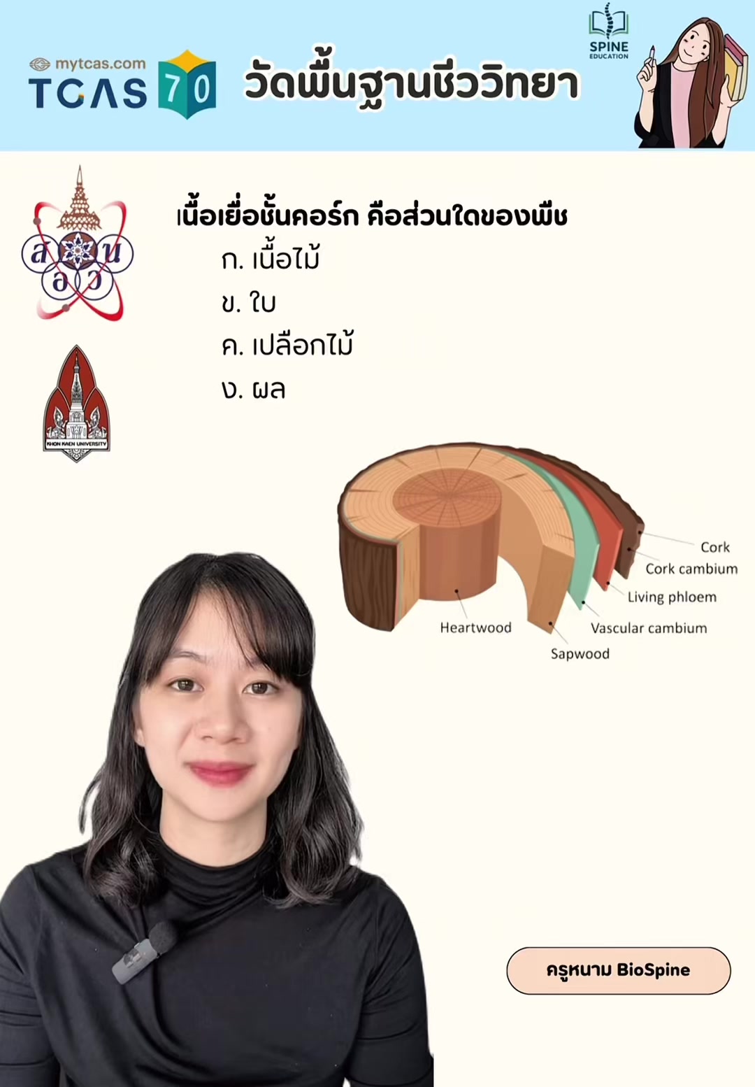 @Biospine by ครูหนาม