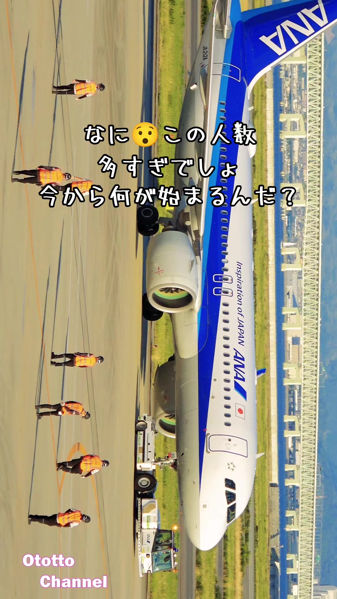 @ototto/おっとっと