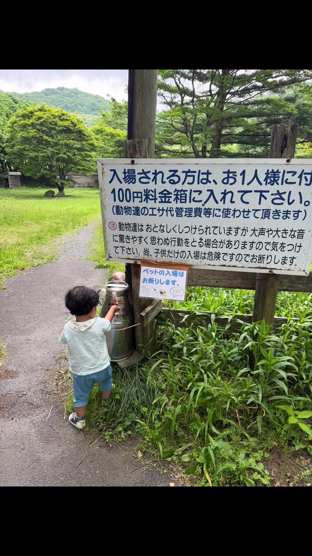@kaito_587