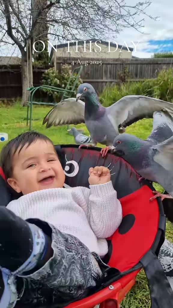 @Hassan Abbas