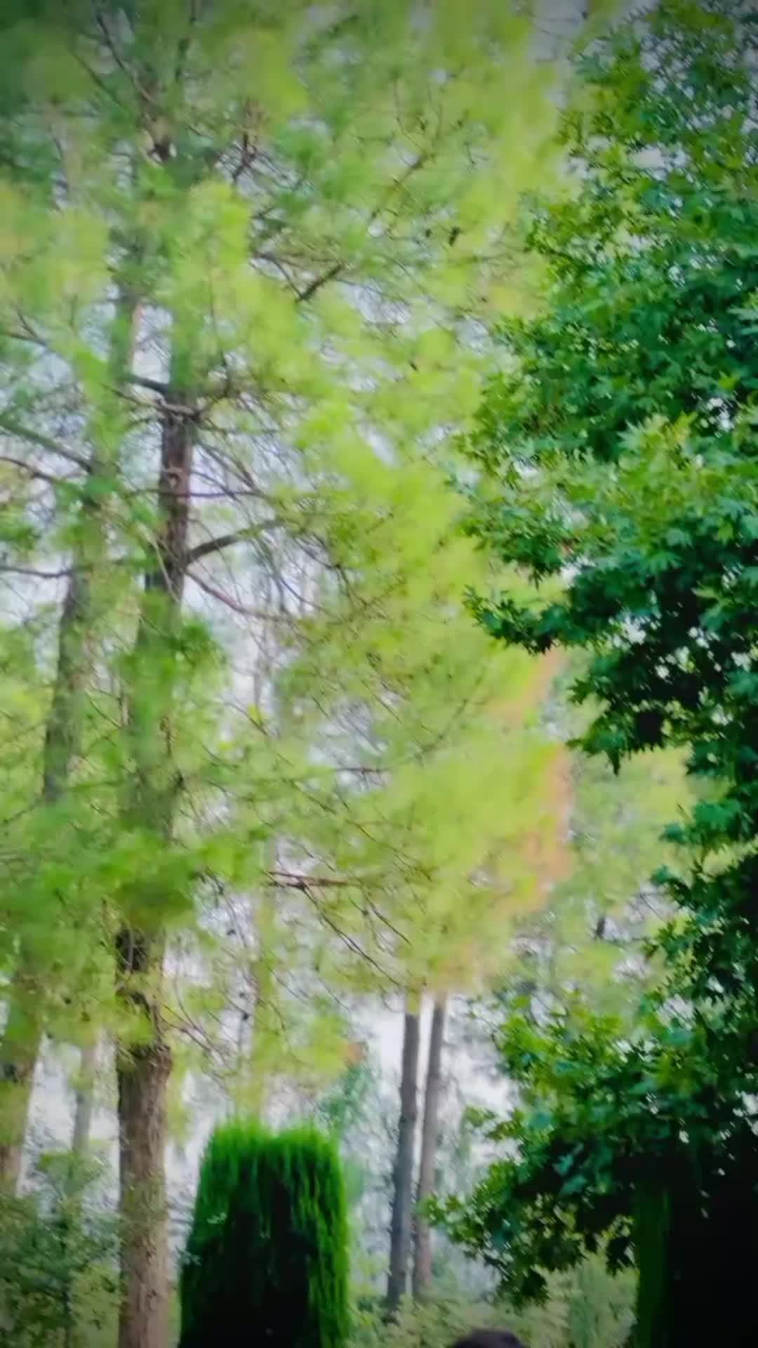 @abdulla 302 🦅
