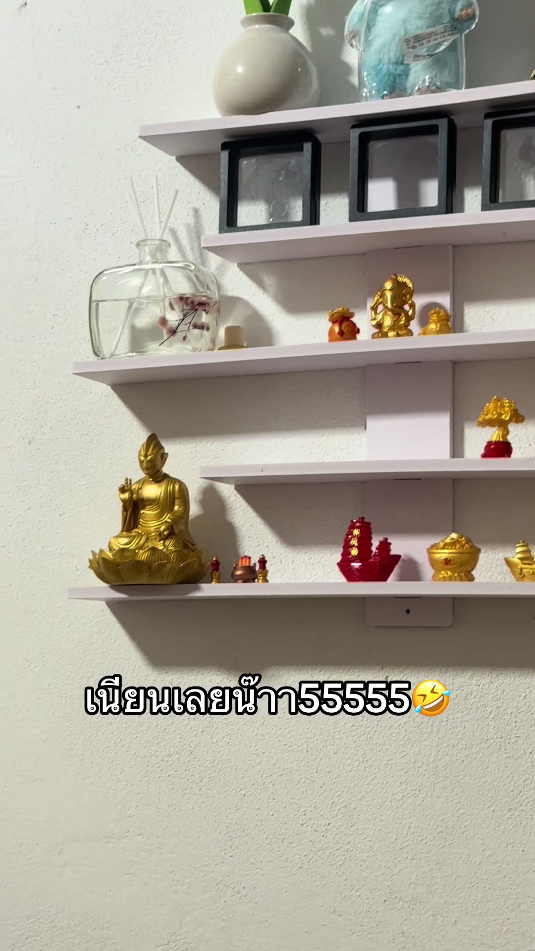 @หอบหมี หนีสงคราม🇹🇭 (128.2K)
