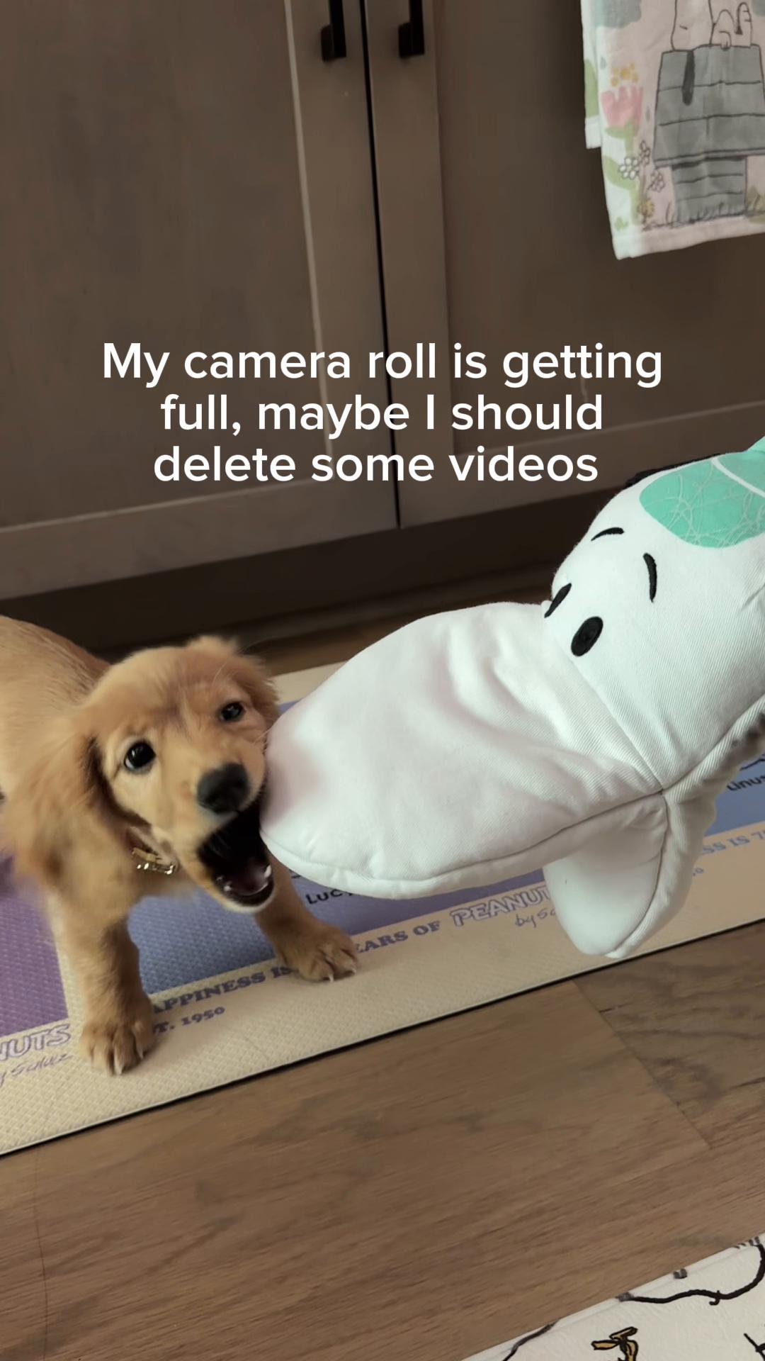 @SunniSnoopy