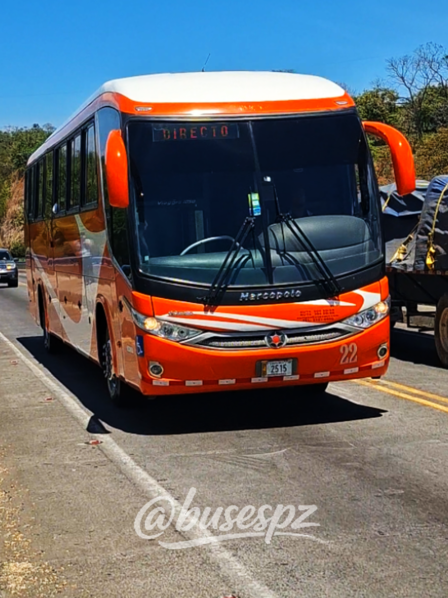 @BUSES PZ | BPZ