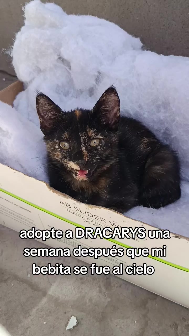 @Sandra salinas