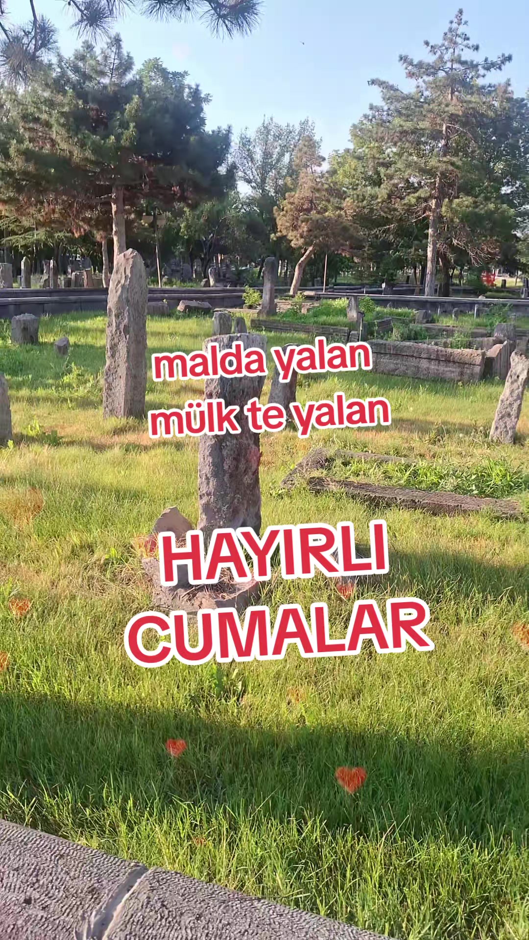 @gulvehsrn