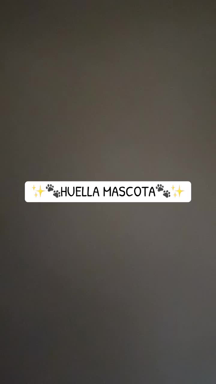 @lyn.detalles