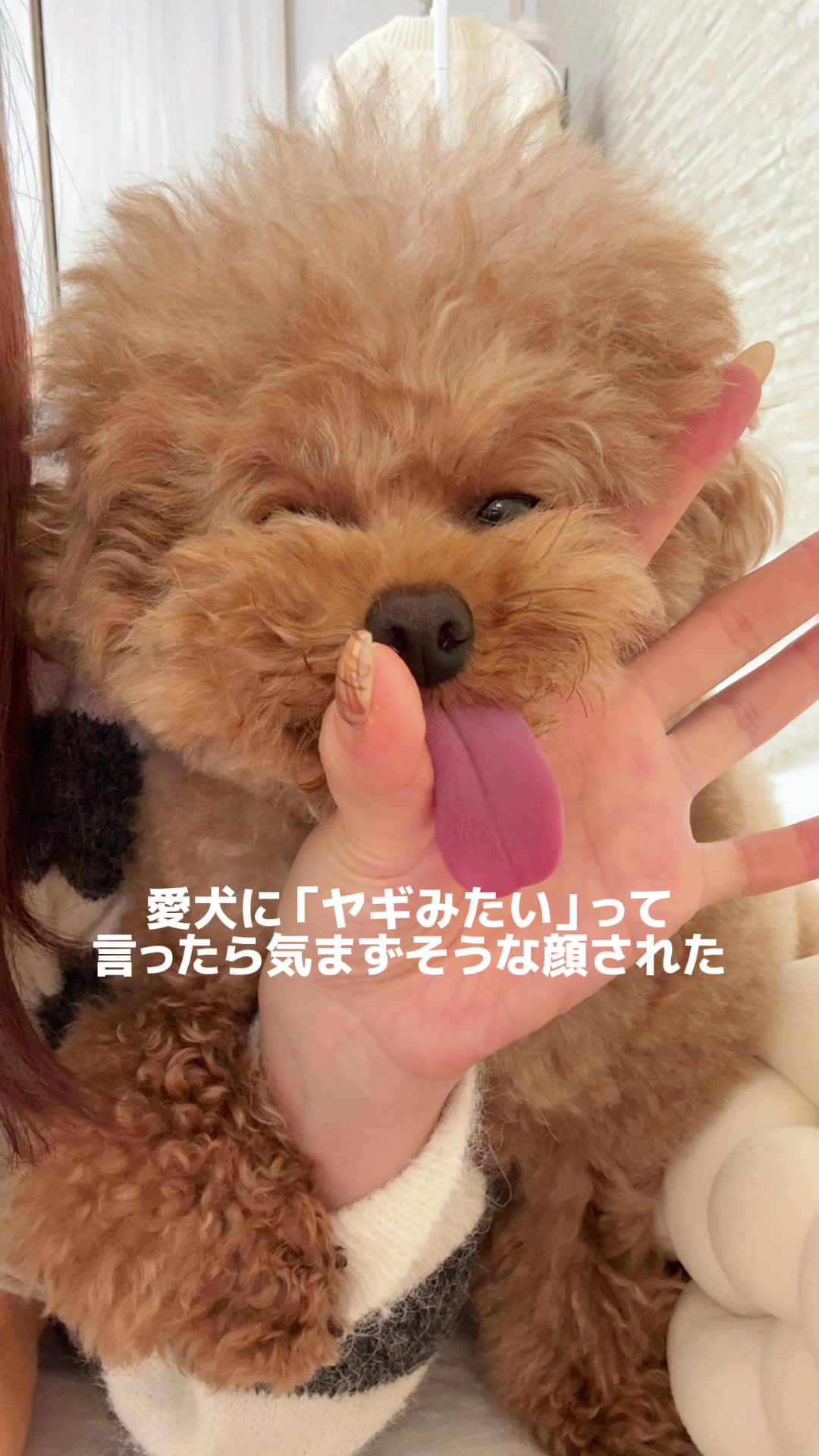 @むぎ🍫🧸