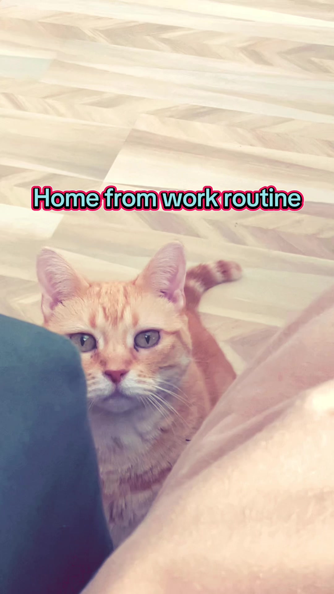 @Catd00d 🇬🇱