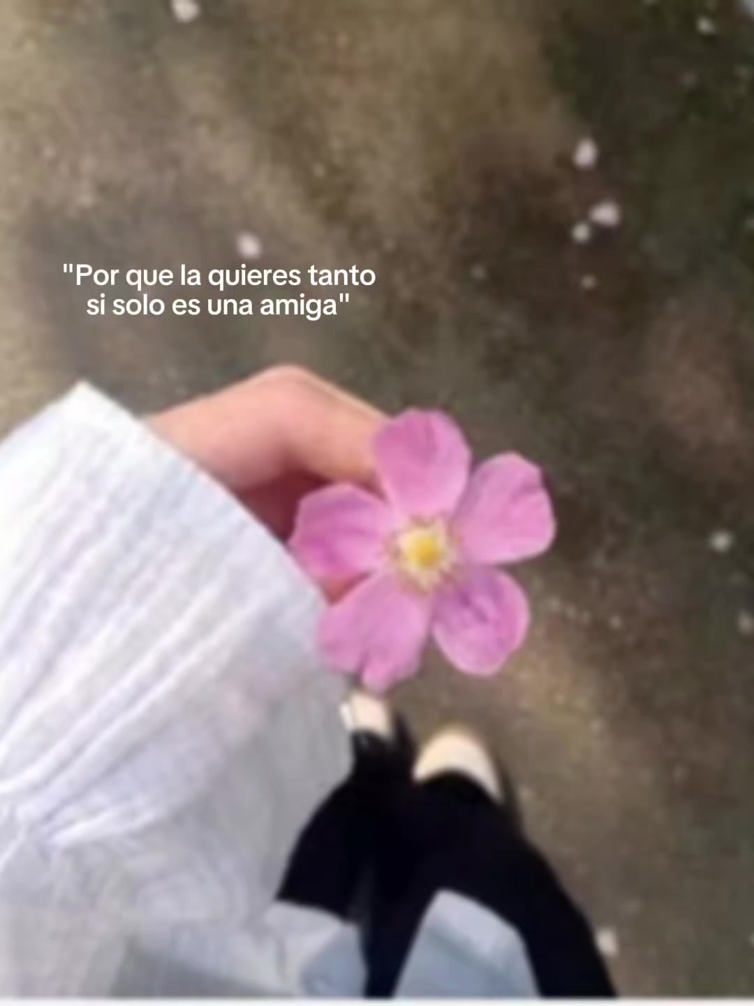 @🩷💓ANNY DIAZ 💗💖