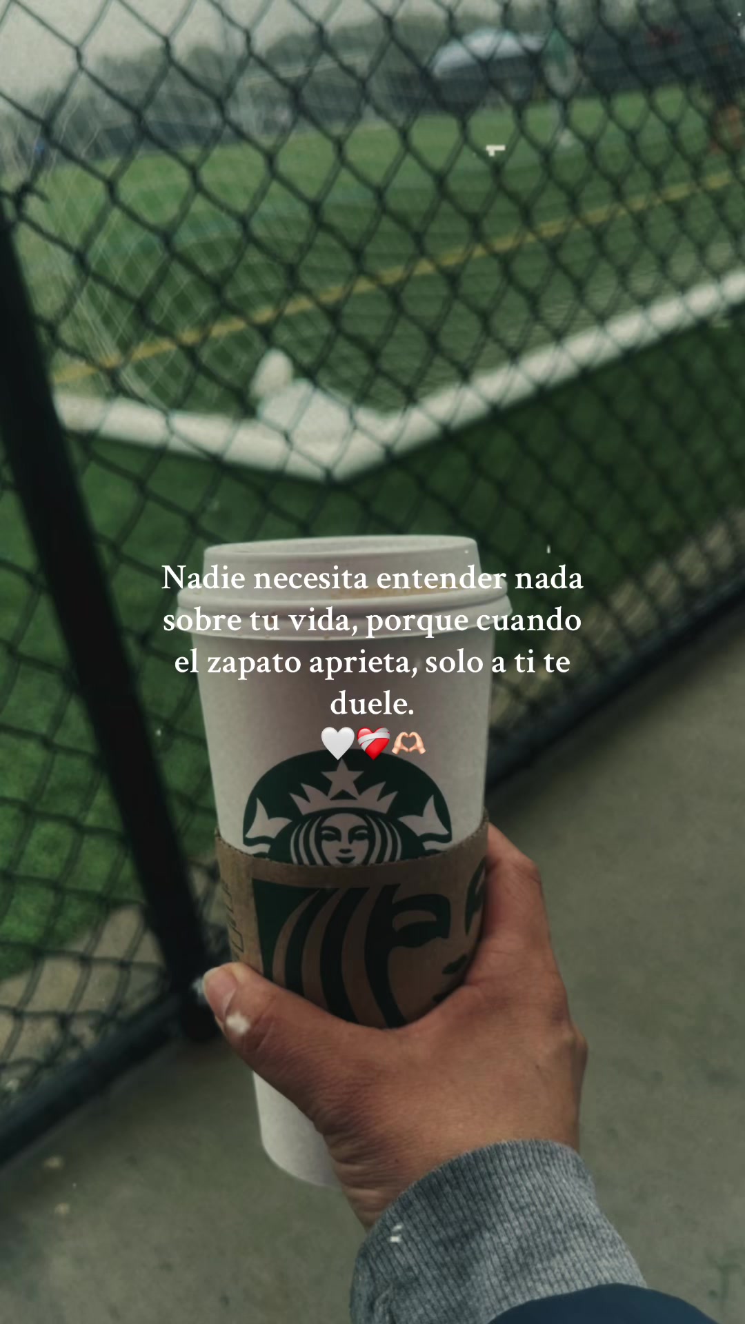 @lourdesruiz11🥰🫶🏻🎁🇸🇻🌲