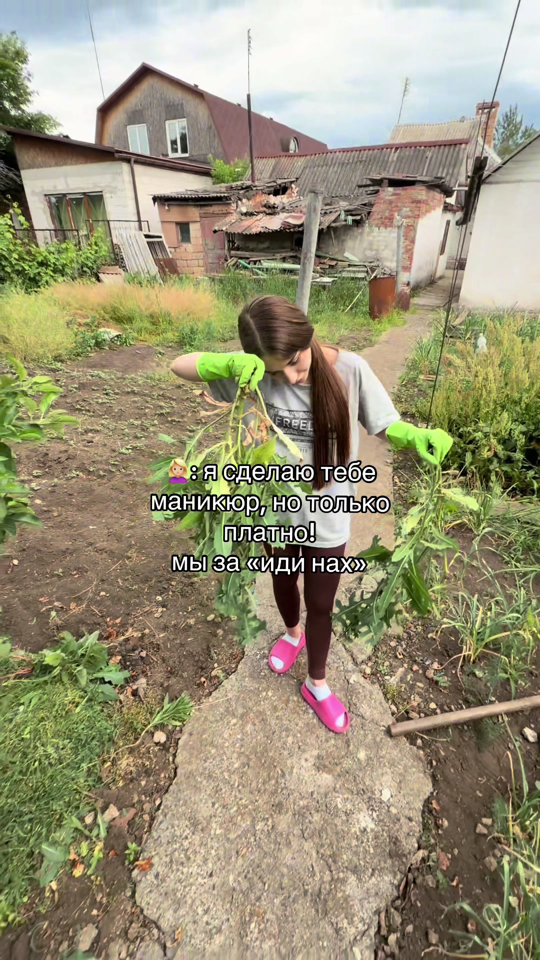 @камели киттен