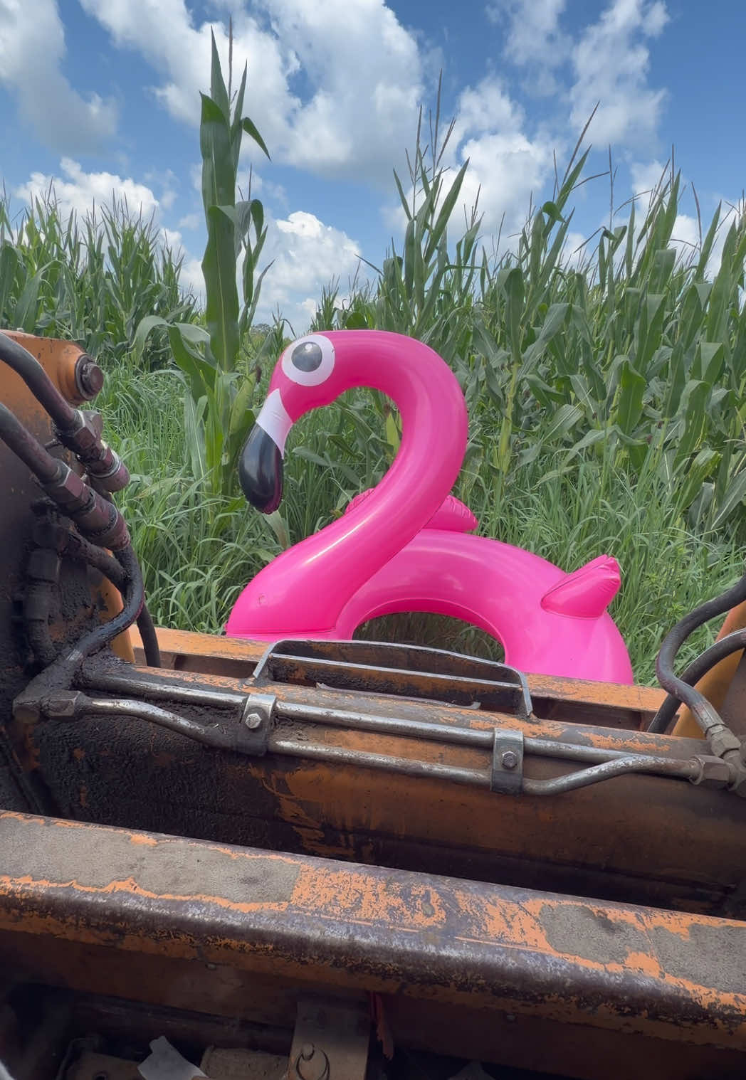 @Farmer Brando