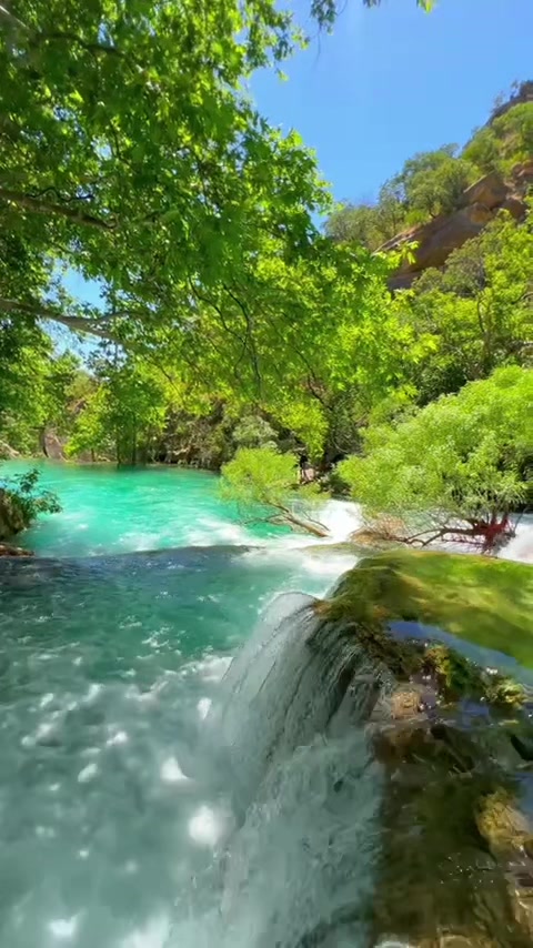 @hazharjameel
