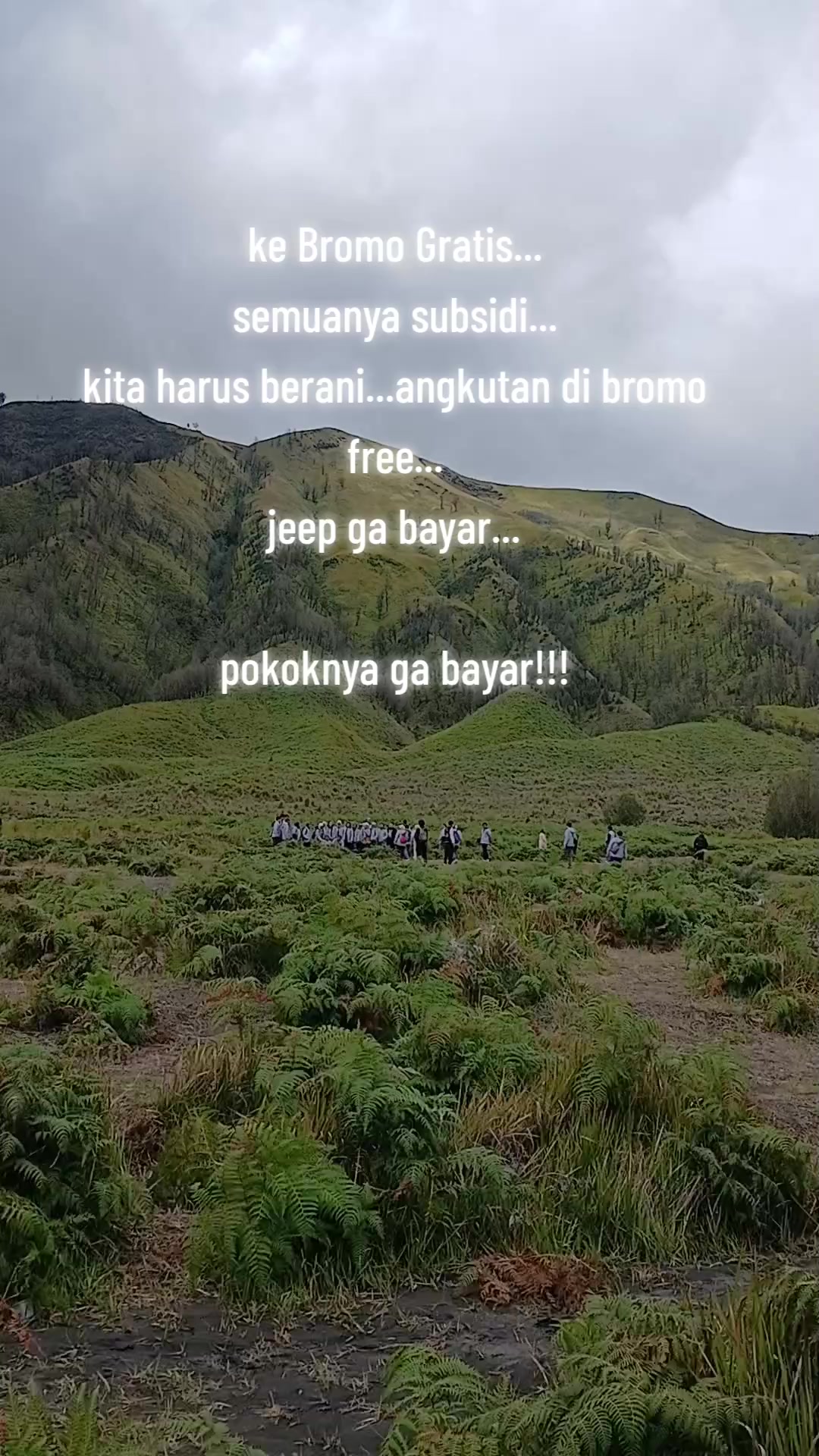 @transbromo