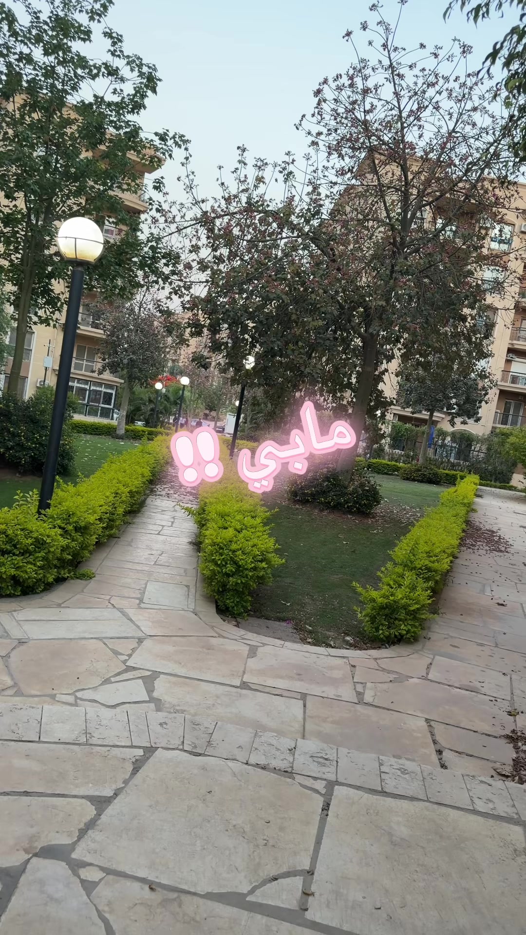 @Hala Firas Abo