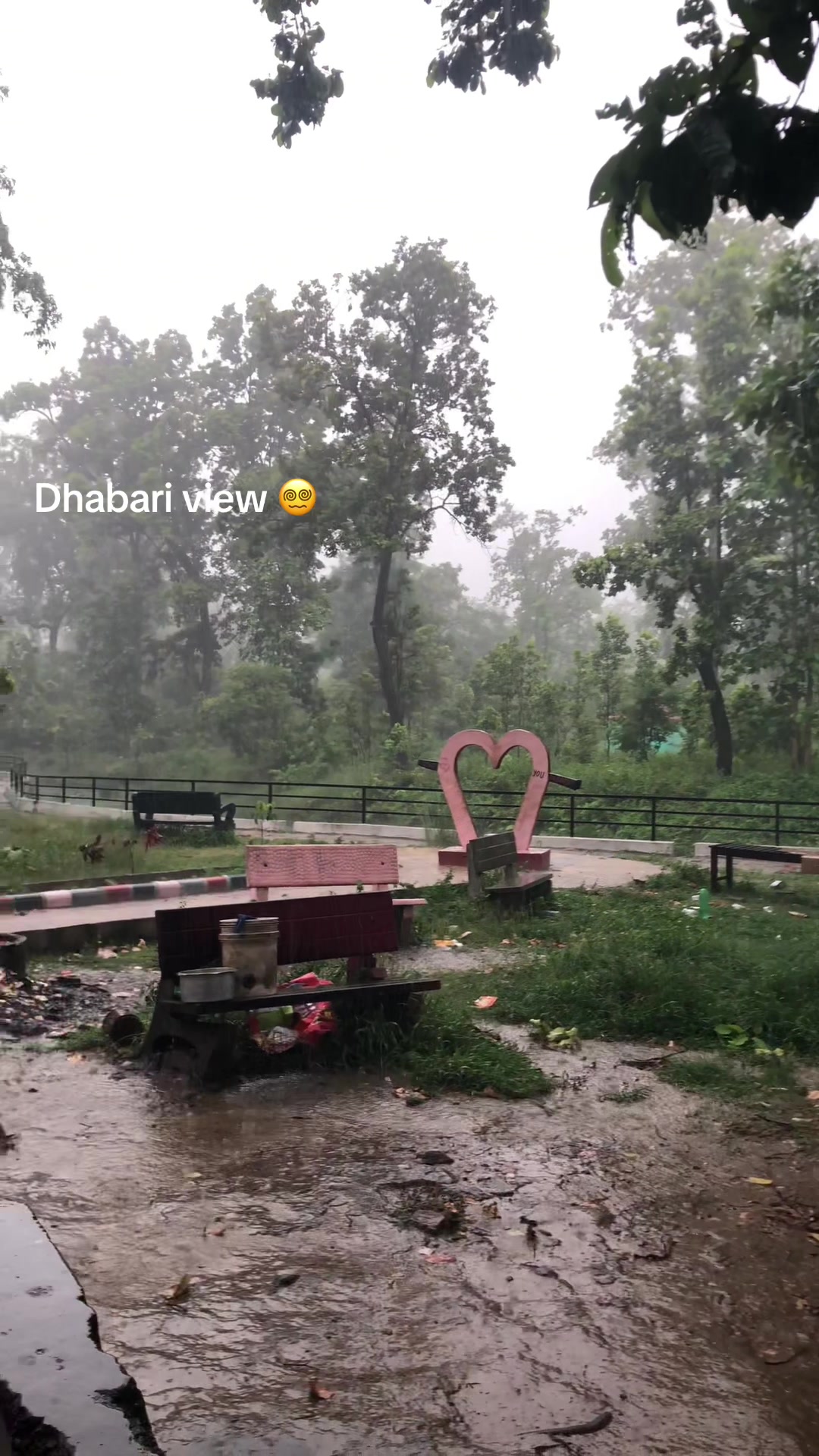 @Chandrapur Nepal 😻