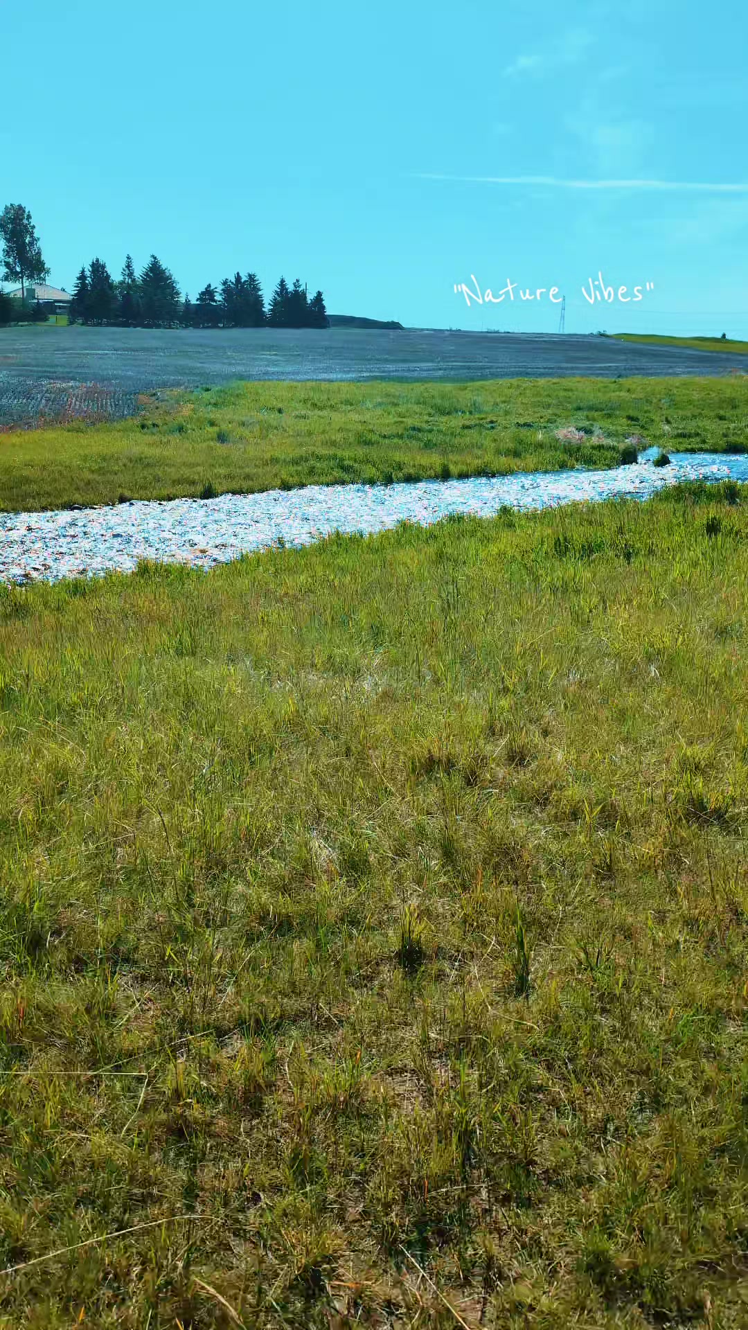 @ਸਰਾਂ